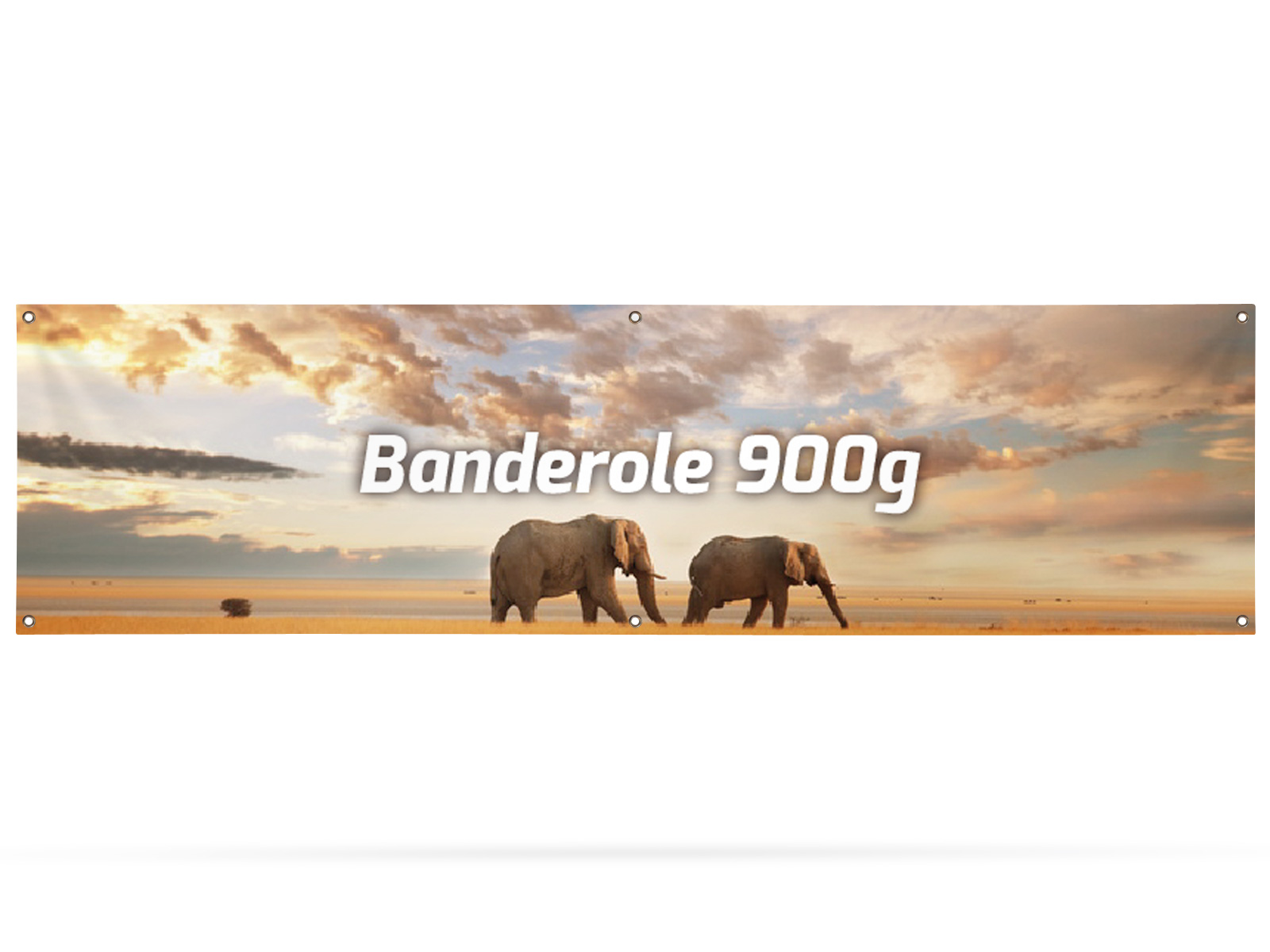 Banderole 900g/m² 300x80 cm